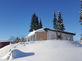 Blockhaus Kik im Harz